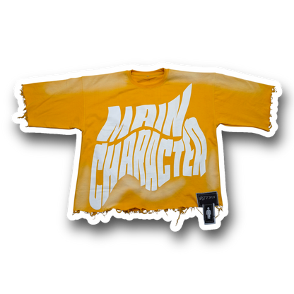 Premium Oversized Box Crop Shirt